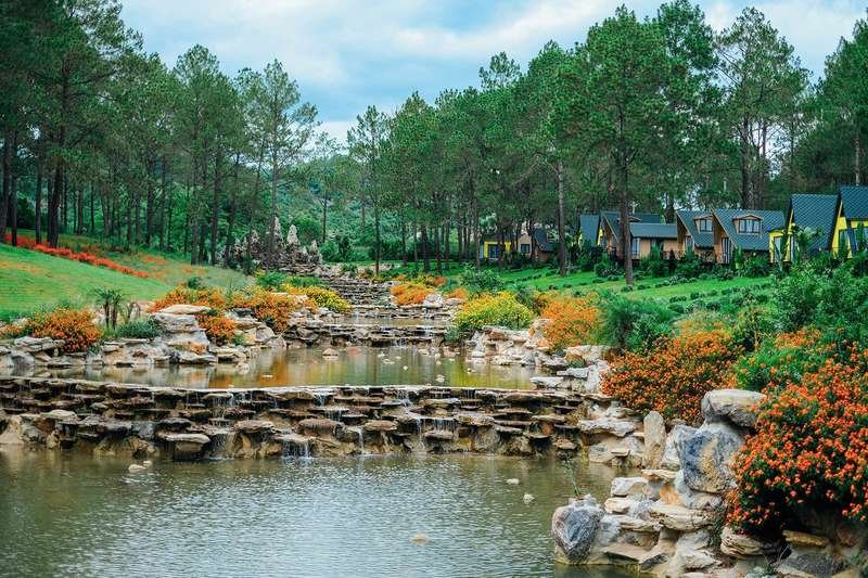 HÀ NỘI –MỘC CHÂU -  ĐỒI CHÈ TRÁI TIM – RỪNG THÔNG BẢNG ÁNG – HÀ NỘI - ảnh 2