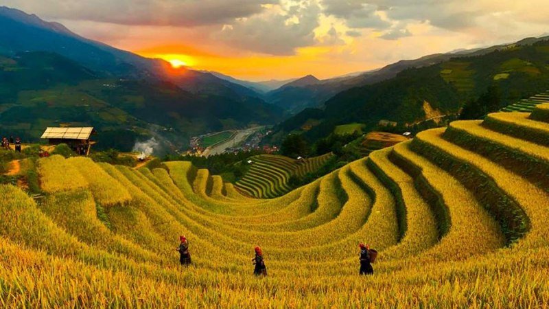 HÀ NỘI – TRẠM TẤU -NGHĨA LỘ - TÚ LỆ -  MÙ CANG CHẢI - HÀ NỘI - ảnh 3
