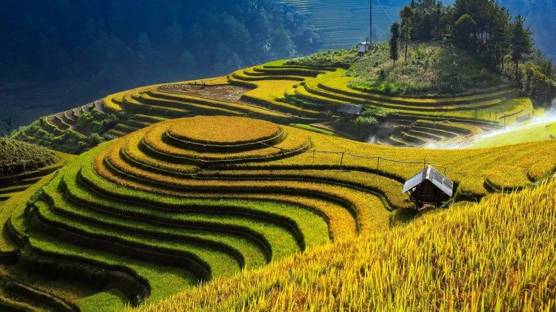 HÀ NỘI – TRẠM TẤU -NGHĨA LỘ - TÚ LỆ -  MÙ CANG CHẢI - HÀ NỘI - ảnh 2