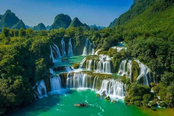 HÀ NỘI –MỘC CHÂU -  ĐỒI CHÈ TRÁI TIM – RỪNG THÔNG BẢNG ÁNG – HÀ NỘI - ảnh 3
