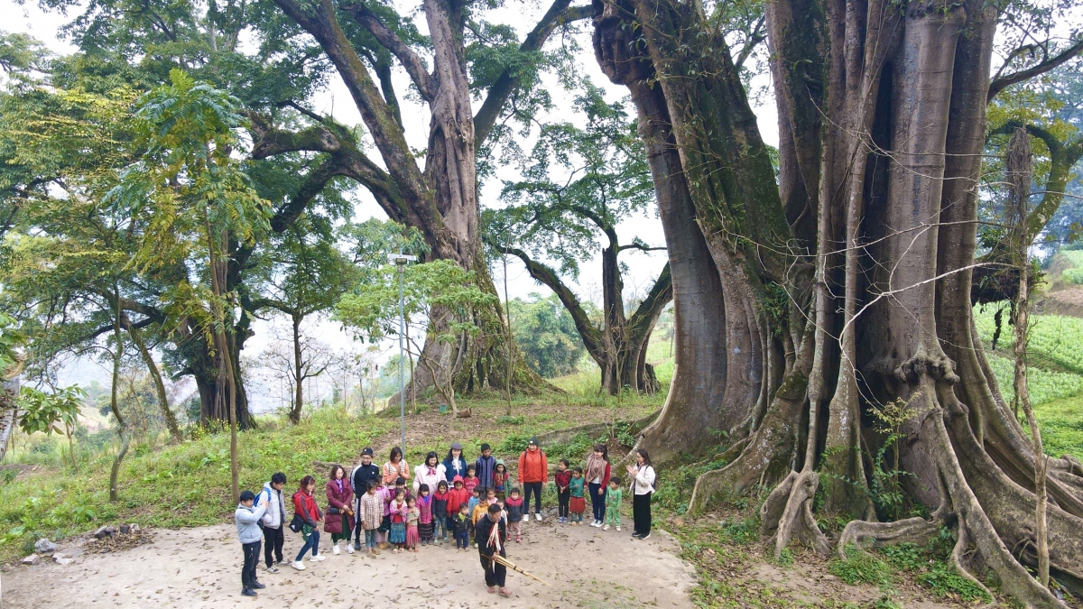 Tour Hà Giang & Hồ Thác Bà 2N1Đ: Khám Phá Cổng Trời và "Hạ Long Trên Núi" - ảnh 6