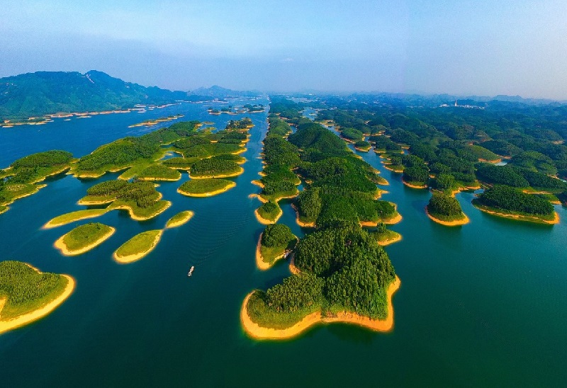 Tour Hoa Anh Đào