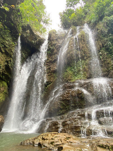 Càn Quét Ẩm Thực Thái Lan: Top 10 Món Ăn "Gây Nghiện" Phải Thử