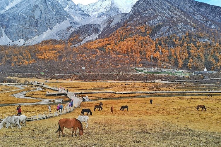 Ngưu Trường Lạc Nhung Dao Thanh A Dinh (1)