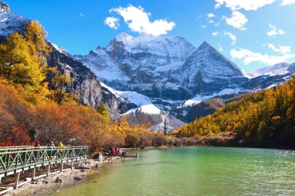 Dao Thanh A Ding 2306 1