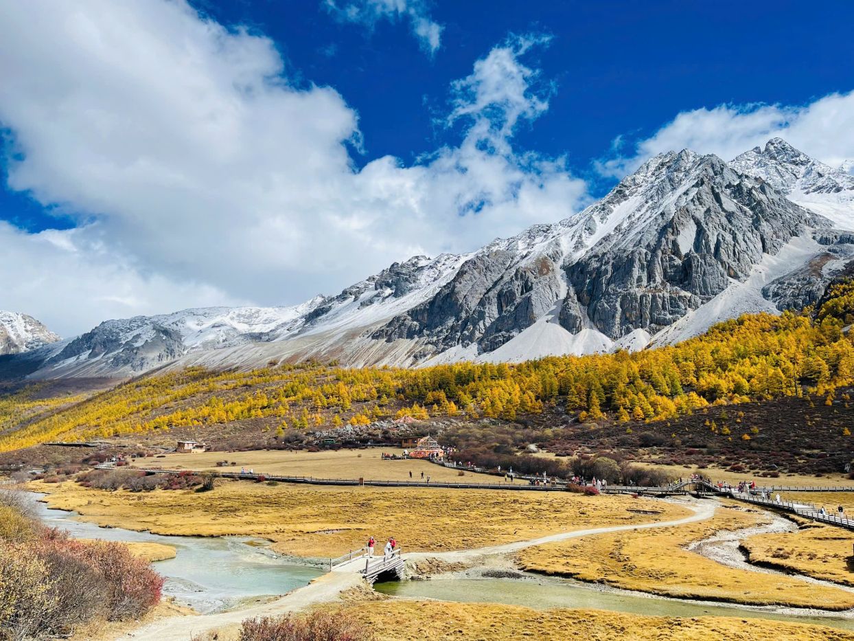 Dao Thanh A Ding 2306 (13)