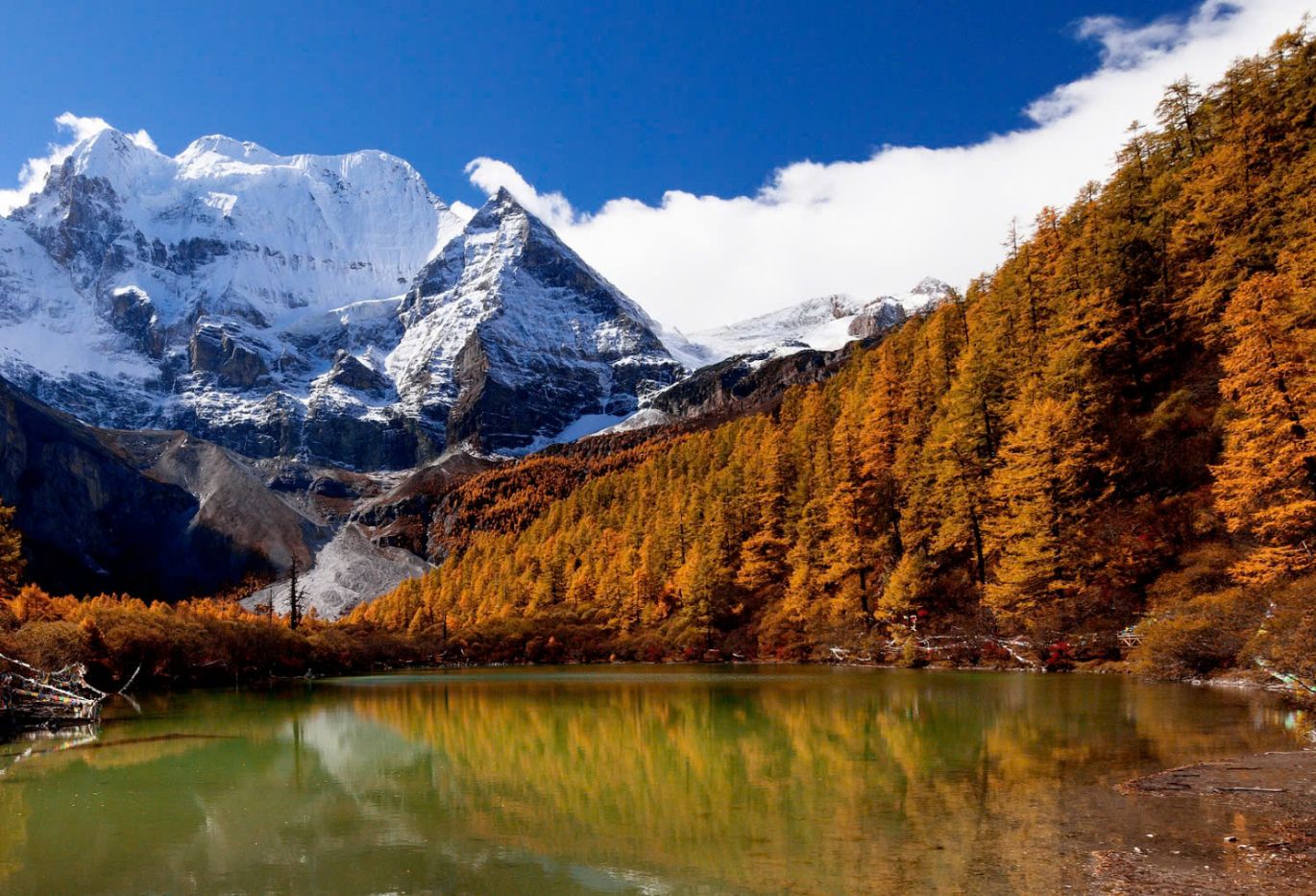 Dao Thanh A Ding 2306 (2)