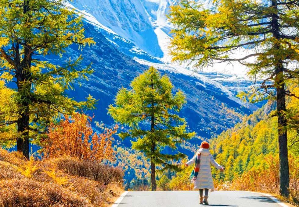 Dao Thanh A Ding 2306 (9)