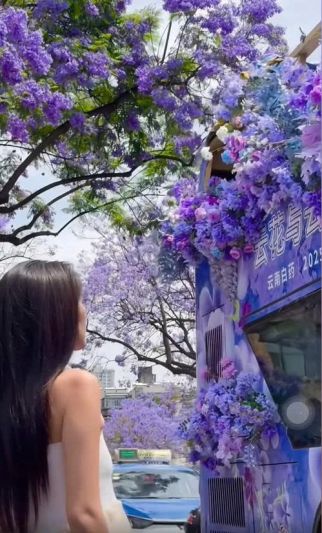 ĐẠI LÝ - CÔN MINH 0 