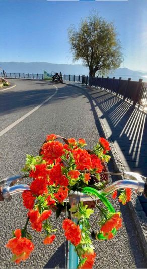 ĐẠI LÝ – SHANGRILA (ĂN SÁNG/ TRƯA/ TỐI) 1 