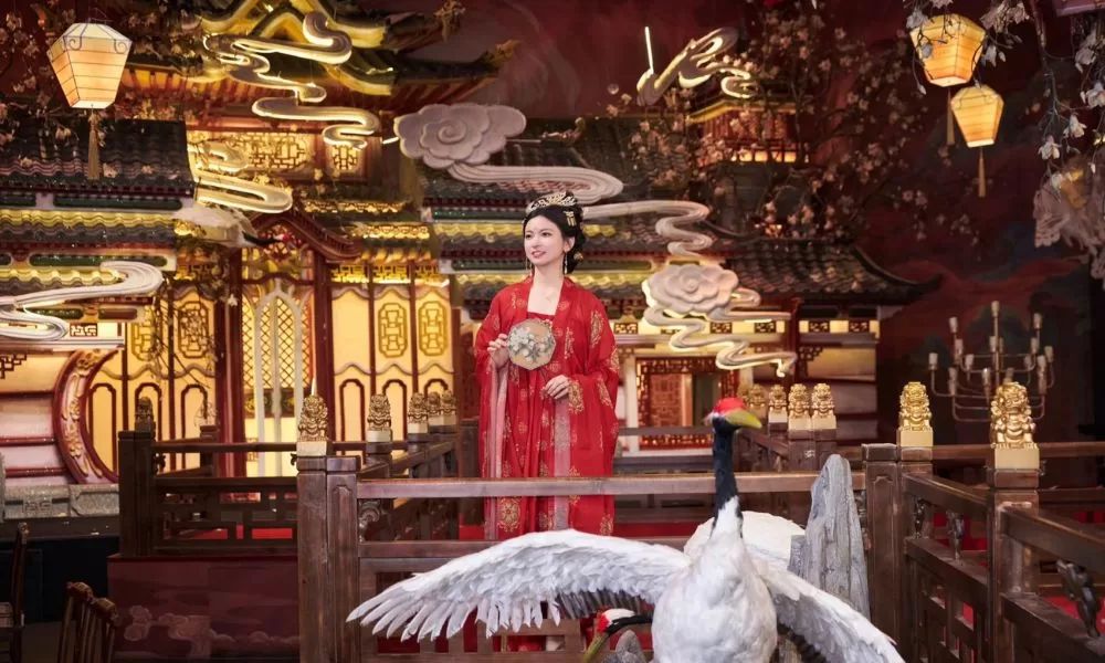 Cung Yen Hang Chau 1